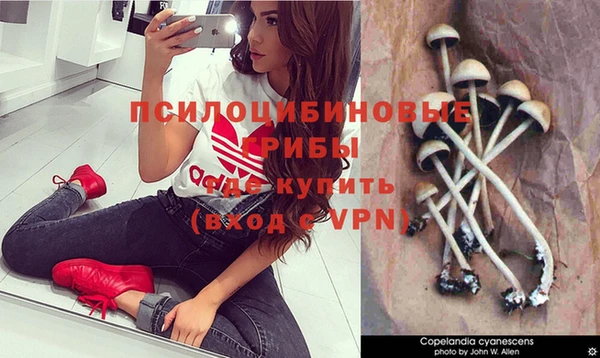 прущая мука Алексеевка