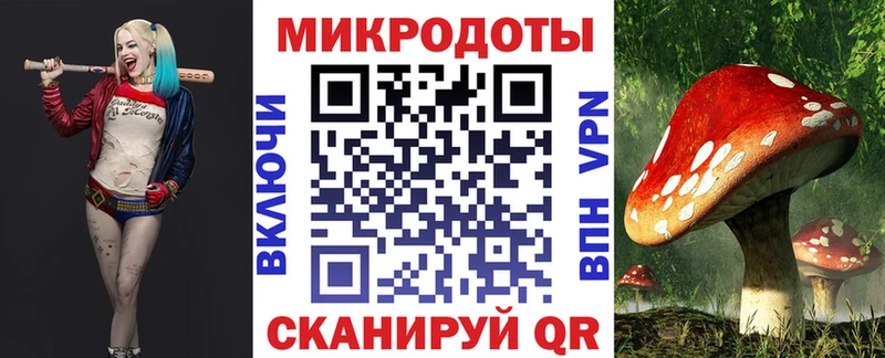 Галлюциногенные грибы Cubensis  Нолинск 